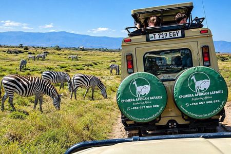 4-Day Shared Tanzania Safari: Tarangire, Serengeti & Ngorongoro