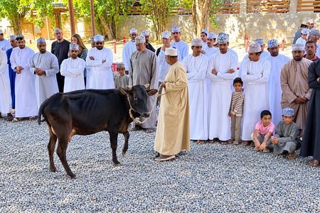 Private Friday Cattle Market-Nizwa and Jebel Akhdar-Full-Day Tour