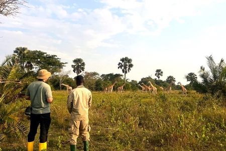 2 Day Lake Mburo National Park Safari and Shoebill Tracking