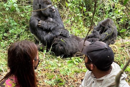 5 Days Uganda Primates Safari