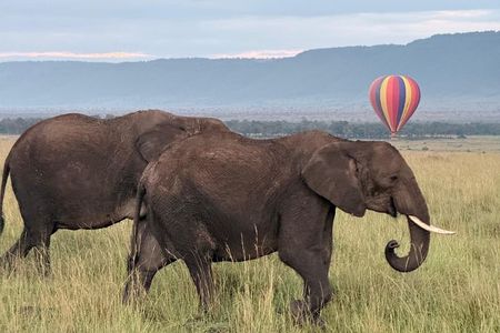 3-Day Masai Mara Air Safari.