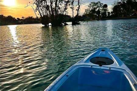 Sunrise Manatee & Wildlife Kayak Tour in Crystal River