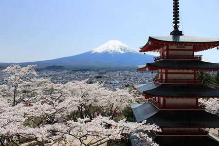 Mt. Fuji and Hakone Private Tour with Luxury Vehicle