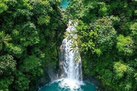 Private Blue Waterfall, Sloth Sanctuary and Coffee Tour Day Trip