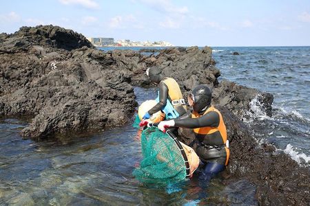 Jeju WestSouth Haenyeo Experience & UNESCO Tour with Mt. Halla