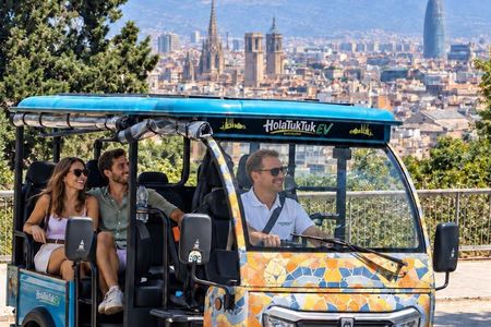 Barcelona Electric Tuk Tuk Private Tour with View