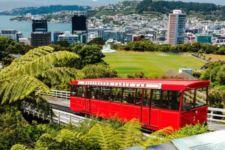 Discover Wellington 3 hour City Tour