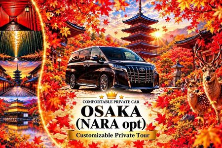 Osaka Customizable Private Tour - Nara opt (Local English Guide)