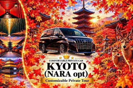 Kyoto & Nara Customizable Private Car Tour (Local English Guide)