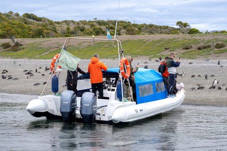 Full Day Almanza and Beagle Channel: A Unique Encounter with Penguins