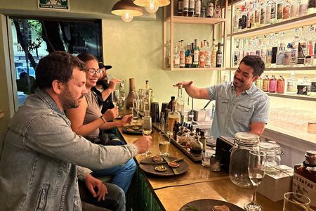 Mezcal Tasting in Roma Norte: 3 Bars, 5 Agaves & a Cocktail demo