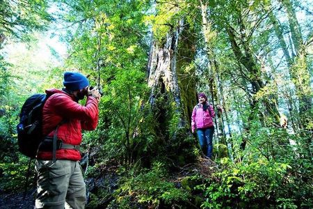 Puerto Blest and Los Cántaros Waterfall Day Trip from Bariloche