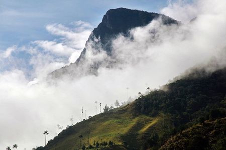 Tour hill Morrogacho Cocora Valley