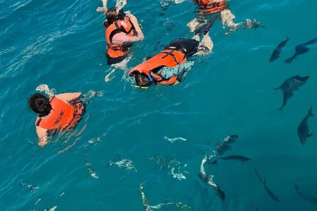 Snorkeling Catamaran Tour at Santa Maria Bay