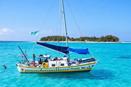 Zanzibar Private Full Day Catamaran to Mnemba Atoll Open Bar