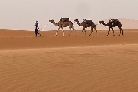 Marrakech: 2-day private tour to Merzouga and Aït Ben Haddou