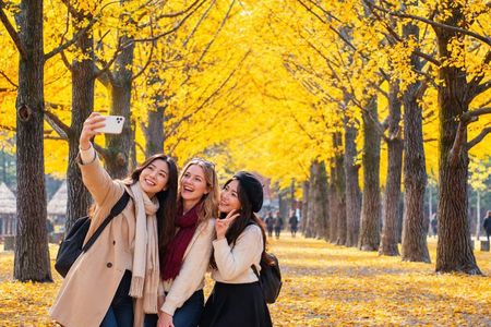 Full-Day Customizable Private Tour to Nami Island and surrounding Area