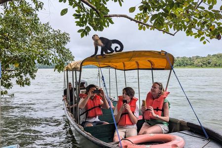 Panama Canal Boat Tour to Monkey Islands