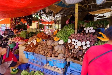 Small Group: Half Day Punta Cana Cultural Tour