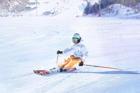 Seoul: Eobi Ice Valley, Elysian Ski Resort, Nami Island Day Trip