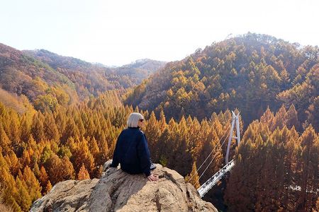 Seoul Jangtaesan Forest & Daejeon Bakery Full-Day Tour
