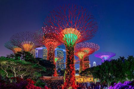 Singapore Starry Night River Cruise, Spectra & Garden Rhapsody