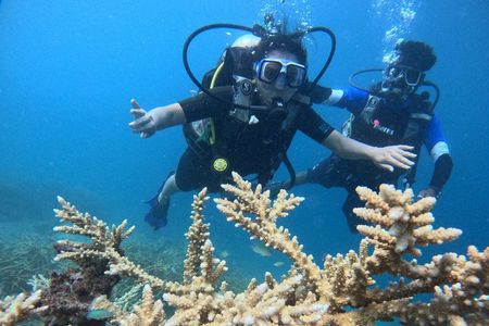 Scuba Diving in Havelock: Beginner Boat Dive, Choose Your Reef