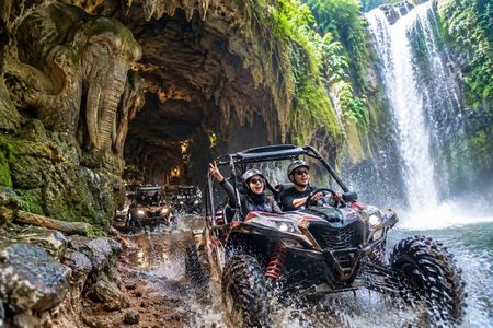 Bali: drive your own buggy in ubud with Meal