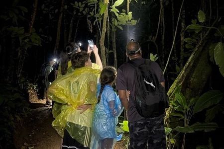 Night Tour at Bijagua Hidden Gems