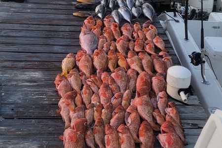 Offshore Grouper fishing