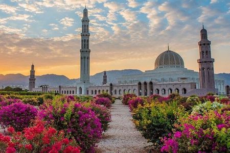 Muscat: City Tour with Local Guide and Pickup & Drop-Off