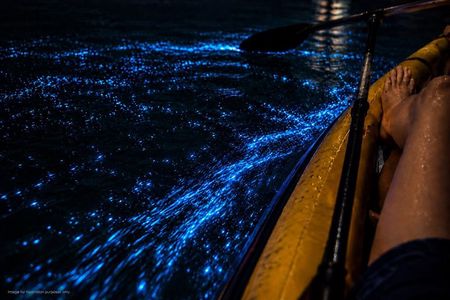 James Bond Island with Bioluminescent Plankton from Phuket