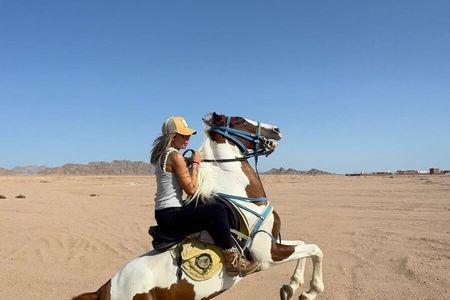 Desert Horse Riding