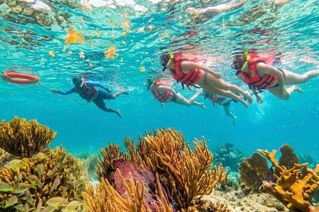 Private boat snorkeling in Puerto Morelos
