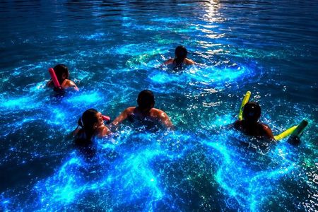 Bioluminescence night time adventure with Brandon