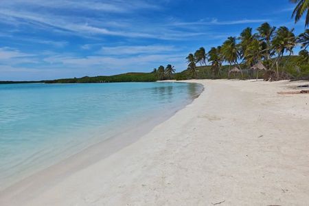 Island Contoy Adventour & Buffete & Isla Mujeres only from Cancun