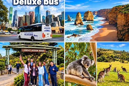 Great Ocean Road 12 APOSTLES Tour REVERSE–SML GRP- Hotel Pick UP