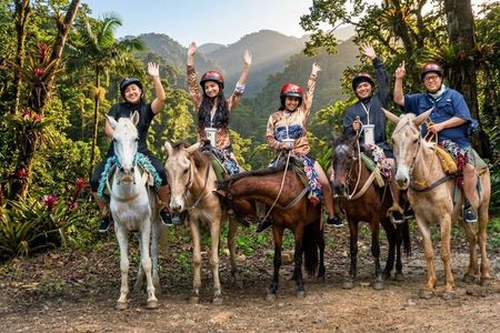 El Limón Waterfall Guided Tour & Horseback Riding Adventure