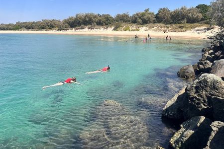 Gold Coast Kayaking & Snorkelling Tour (2.5 Hours)