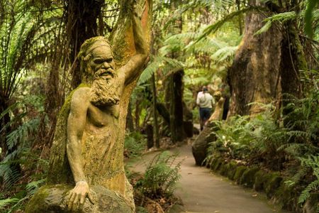 Dandenong Ranges Private Nature Day Tour from Melbourne