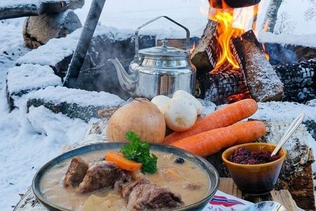 Oslo Nordic Food Tour: Camp Fire, Local Chef & Forest Feast