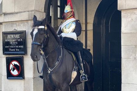 Changing of Horse Guards & Buckingham Palace with Funny Historian