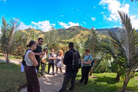 Private Tour to Salento, Cocora Valley and Philandia