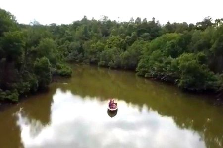Private Proboscis Monkey Tour