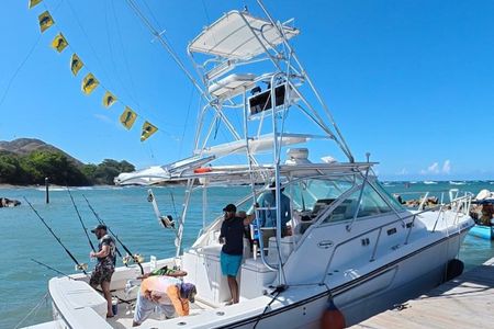 Puerto Plata Fishing Boat Trip from Ocean World Marina