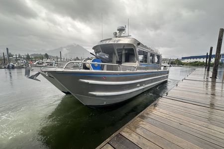 Private 6-Hour Juneau Whale Watching and Custom Sightseeing Tour