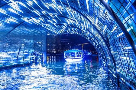 Amsterdam Light Festival: Cruise Unlimited Drinks & Bite option