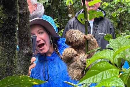 Sloths, Monkeys and Waterfall Experience