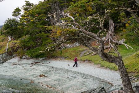 Tierra del Fuego National Park by Hike – Small groups