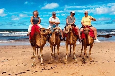 Luxury All-Inclusive Tangier Day Trip from Marbella